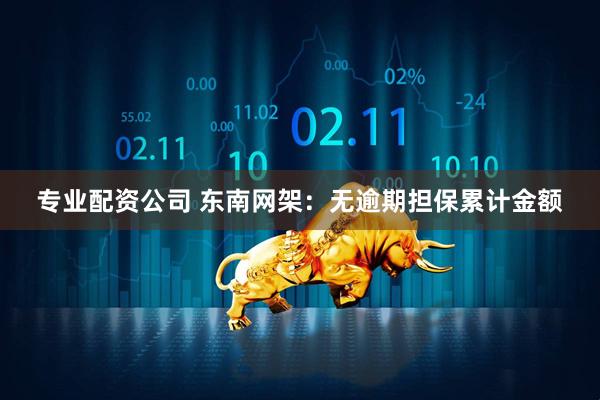 专业配资公司 东南网架：无逾期担保累计金额